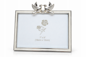 Egy galamb képkerete