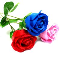 Szappanvirág - Vörös rózsa