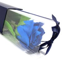 Szappanvirág - Kék rózsa